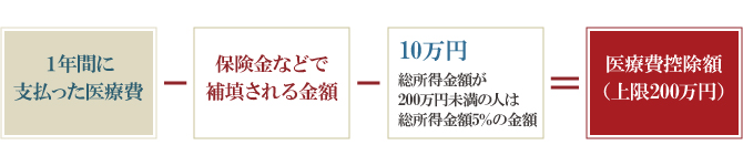 医療費控除額の算出 医療費控除額の算出