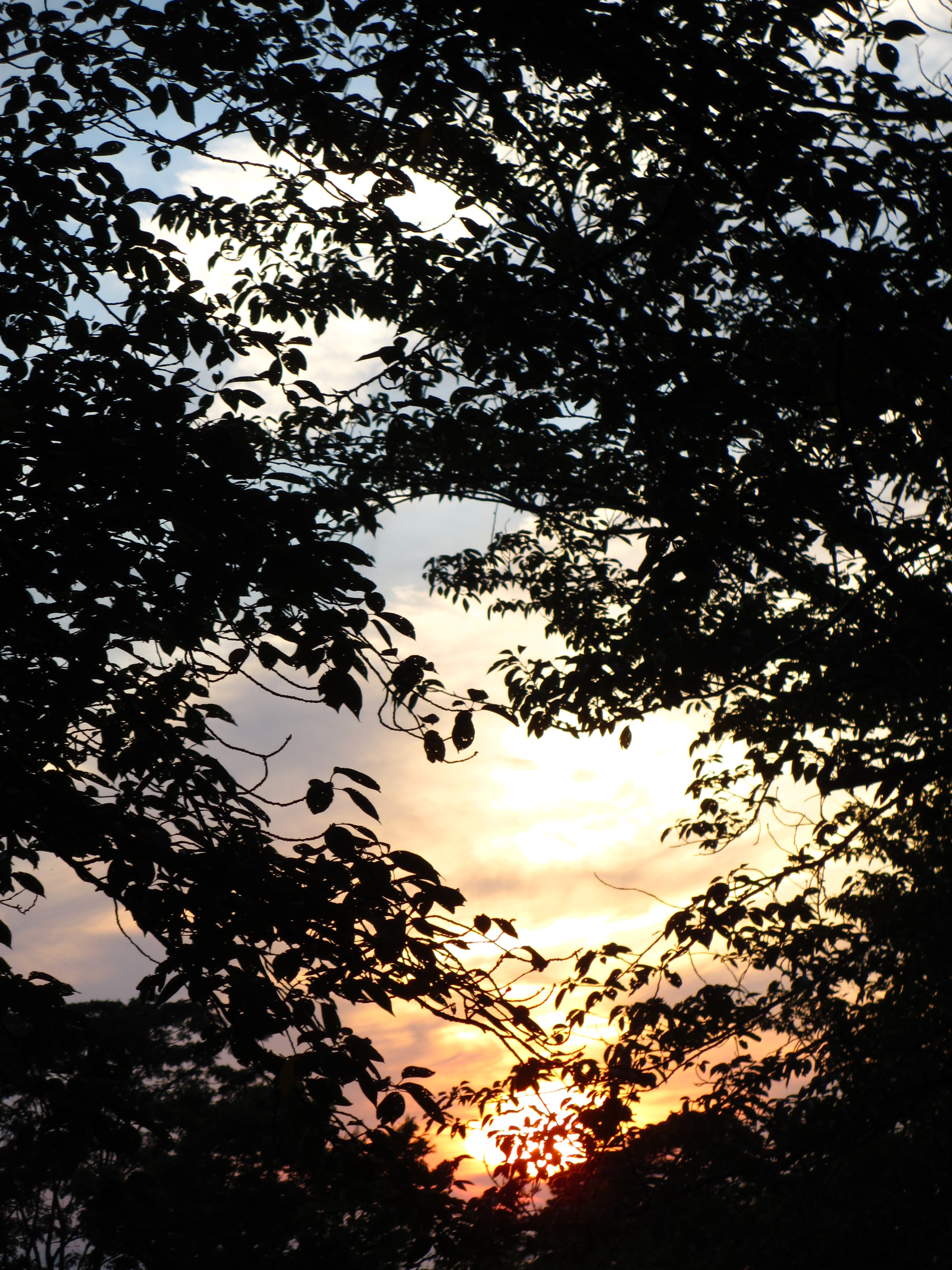 夕暮れ 夕暮れ