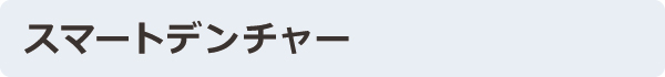 �X�}�[�g�f���`���[