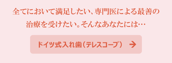 �h�C�c�����ꎕ�i�e���X�R�[�v�j