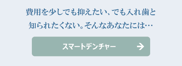 �X�}�[�g�f���`���[
