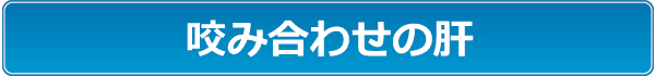 咬み合わせの肝 咬み合わせの肝