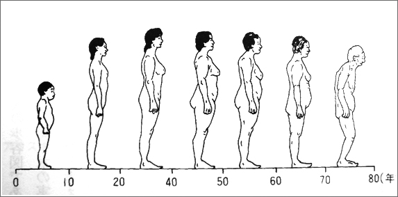 「咬み合わせ」の重要性 「咬み合わせ」の重要性