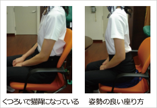 姿勢と「咬み合わせ」 姿勢と「咬み合わせ」