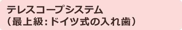 テレスコープシステム(最上級:ドイツ式の入れ歯) テレスコープシステム(最上級:ドイツ式の入れ歯)