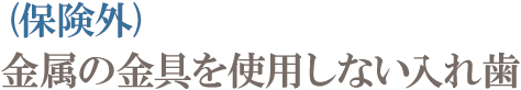 (保険外) 金属の金具を使用しない入れ歯 (保険外) 金属の金具を使用しない入れ歯
