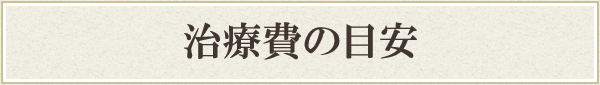 治療費の目安 治療費の目安